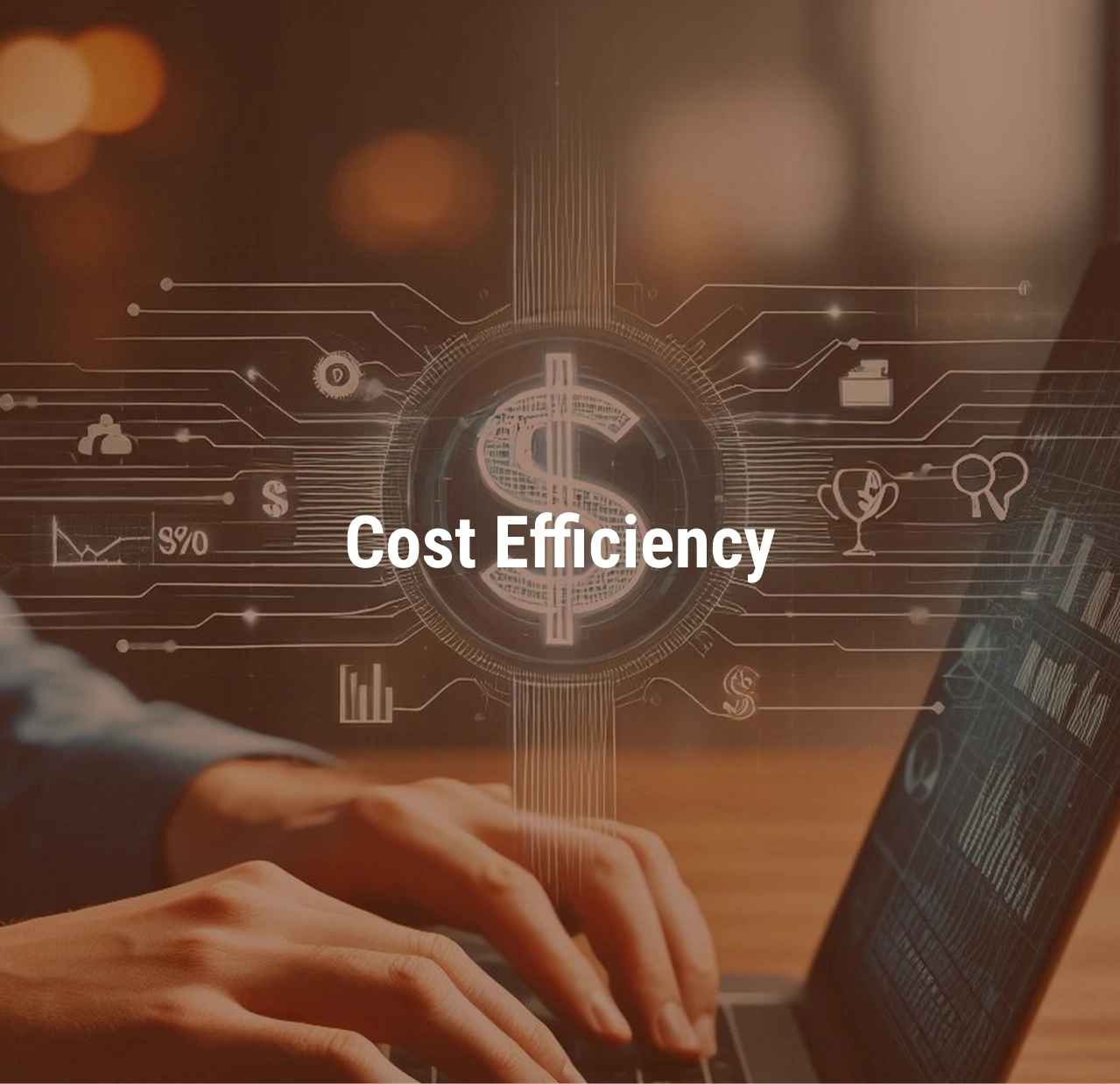 Cost Efficiency